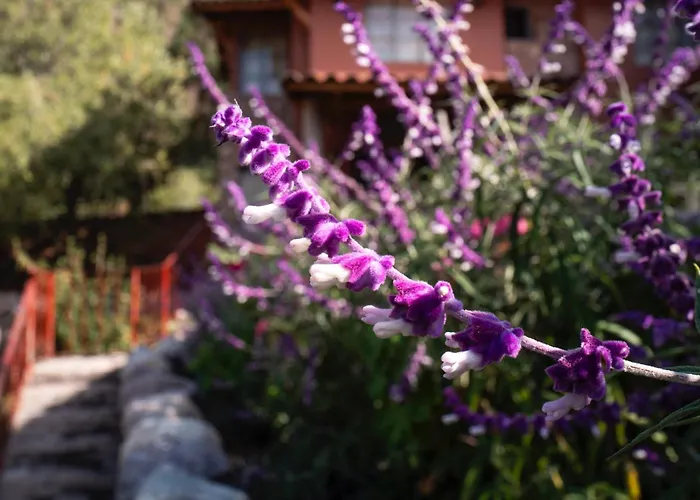 Apu Chicon Urubamba